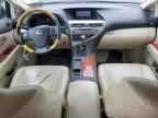 2010 LEXUS Rx