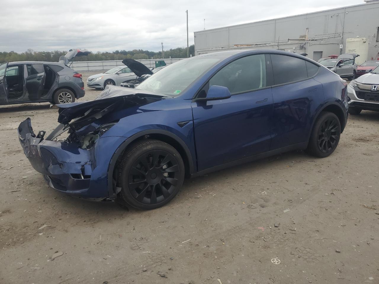 2024 TESLA MODEL Y