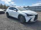 2022 LEXUS Nx