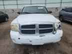 2007 DODGE Dakota