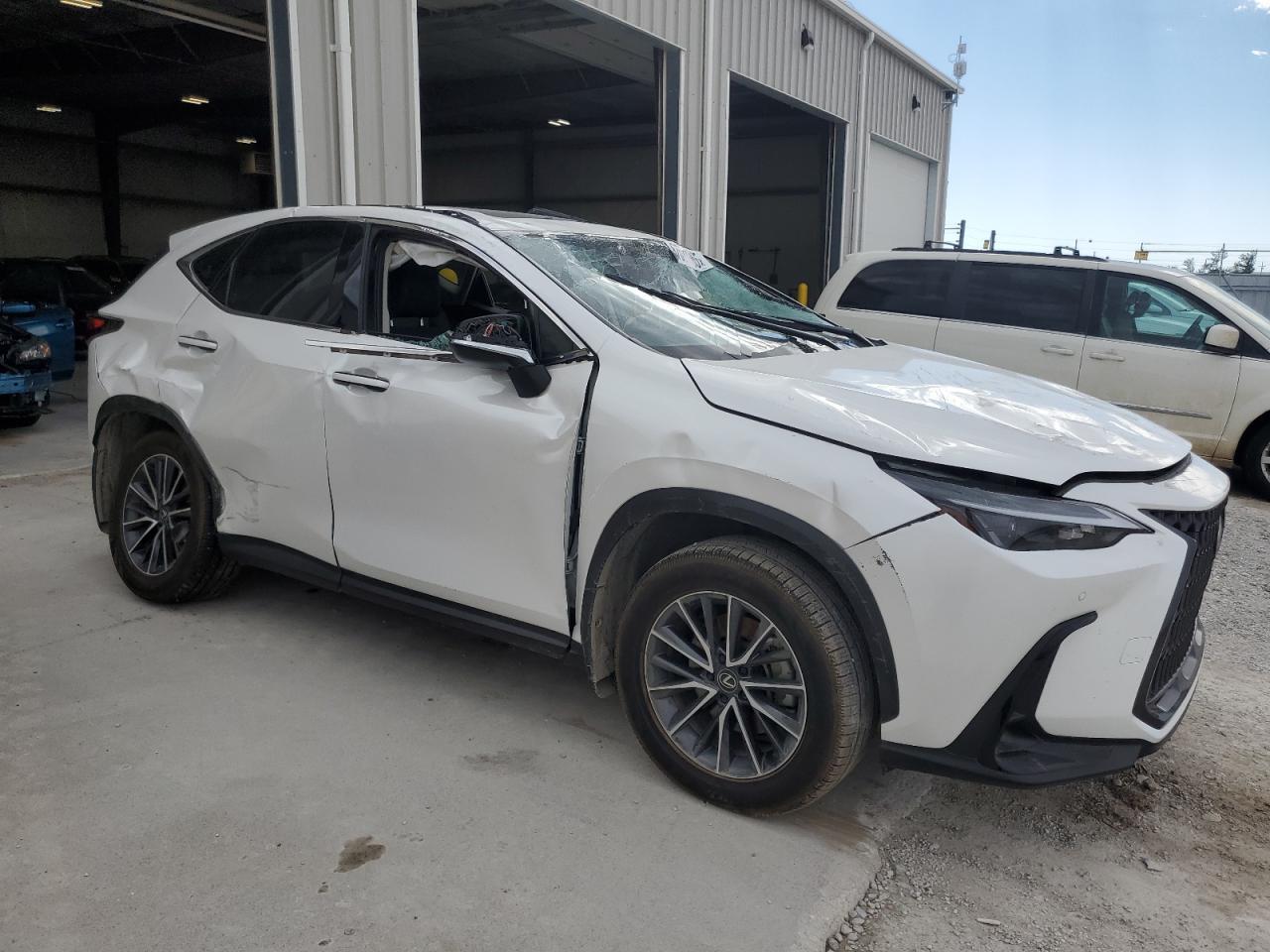 2024 LEXUS Nx
