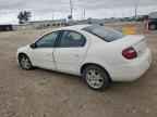 2004 DODGE Neon