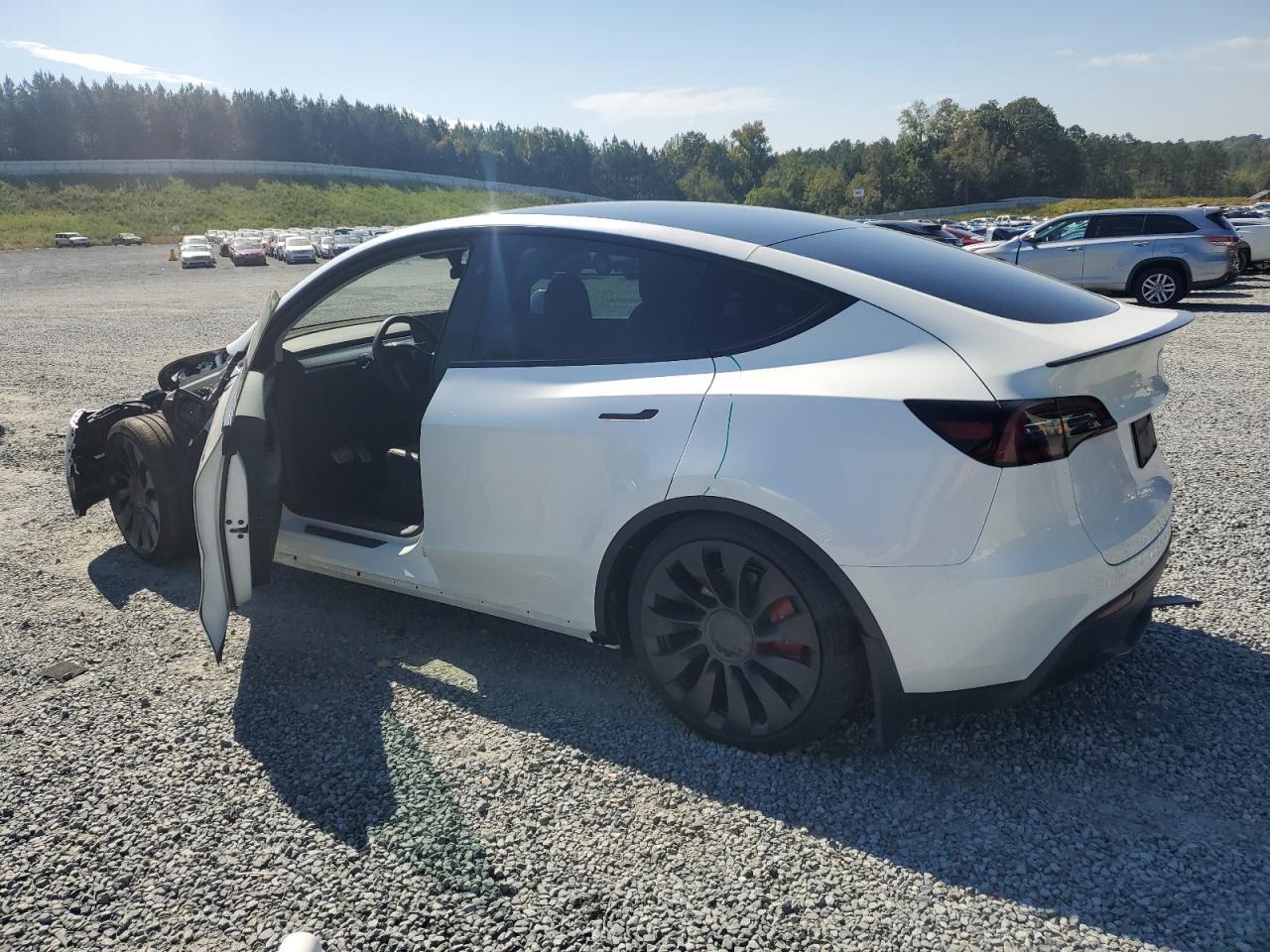 2025 TESLA MODEL Y