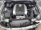 2024 LEXUS IS 350
