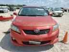 2009 TOYOTA COROLLA