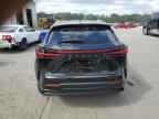 2026 LEXUS Nx