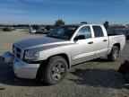 2006 DODGE Dakota