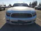 2013 FORD MUSTANG