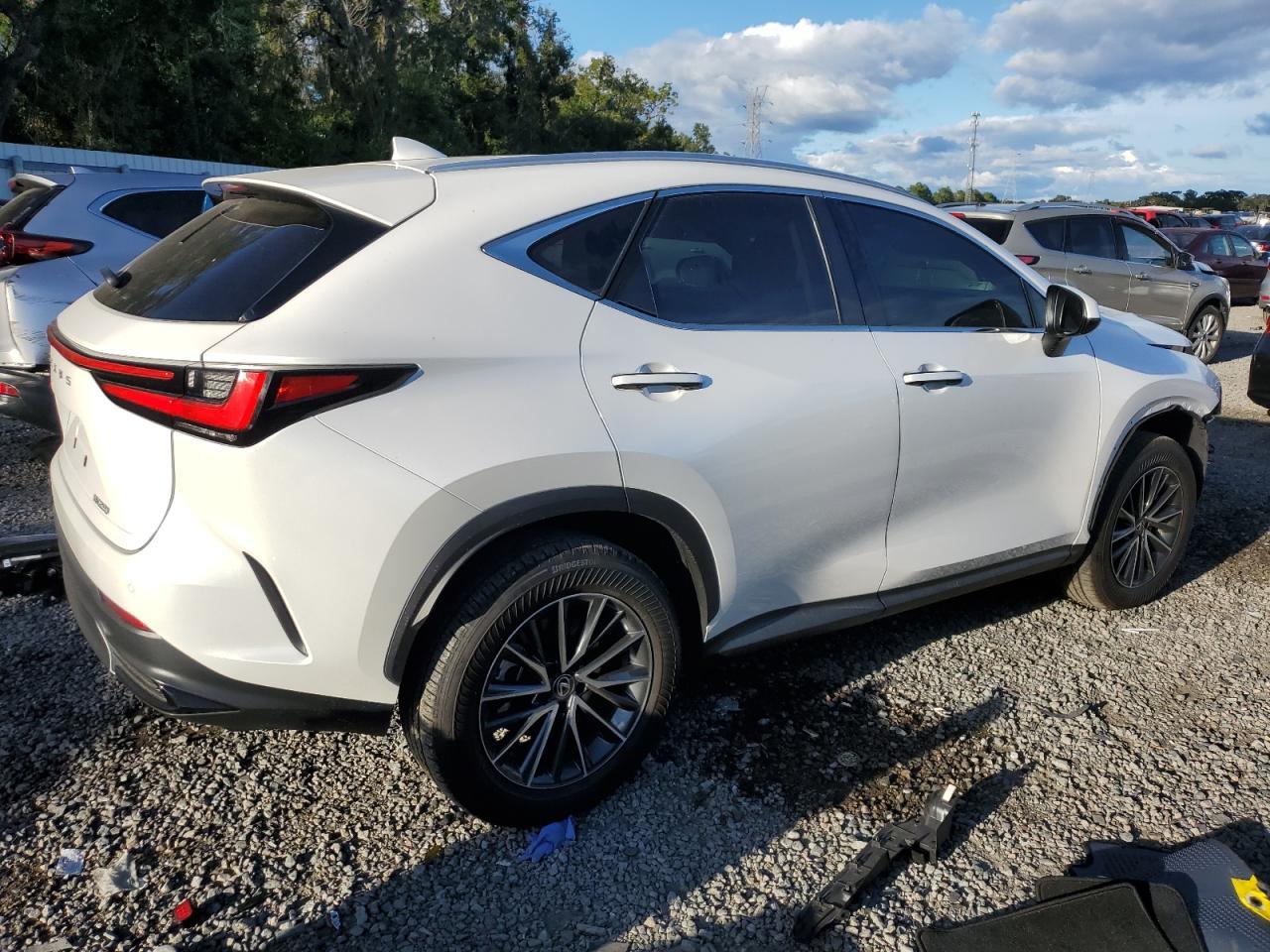 2025 LEXUS Nx