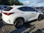 2025 LEXUS Nx
