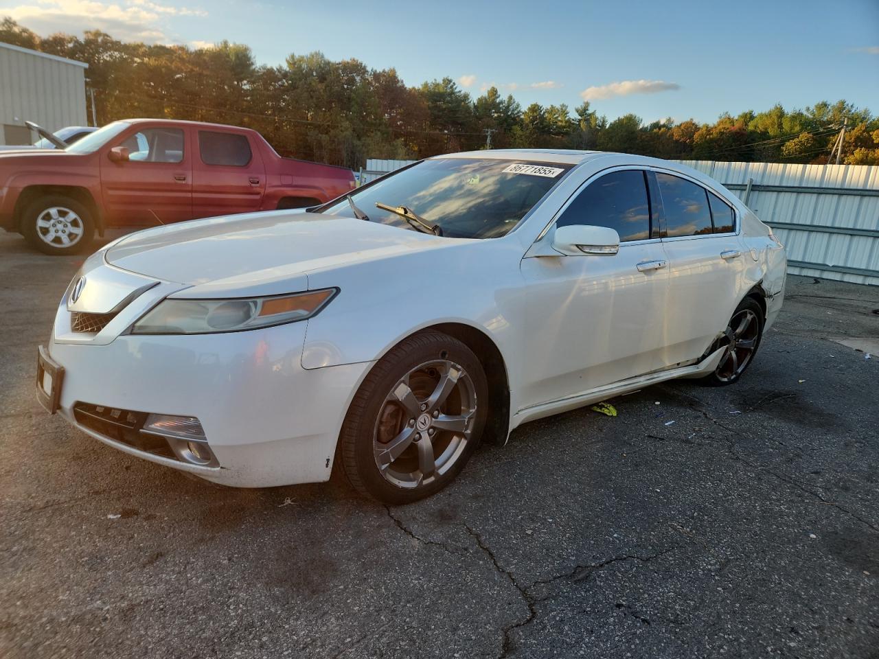 2011 ACURA TL