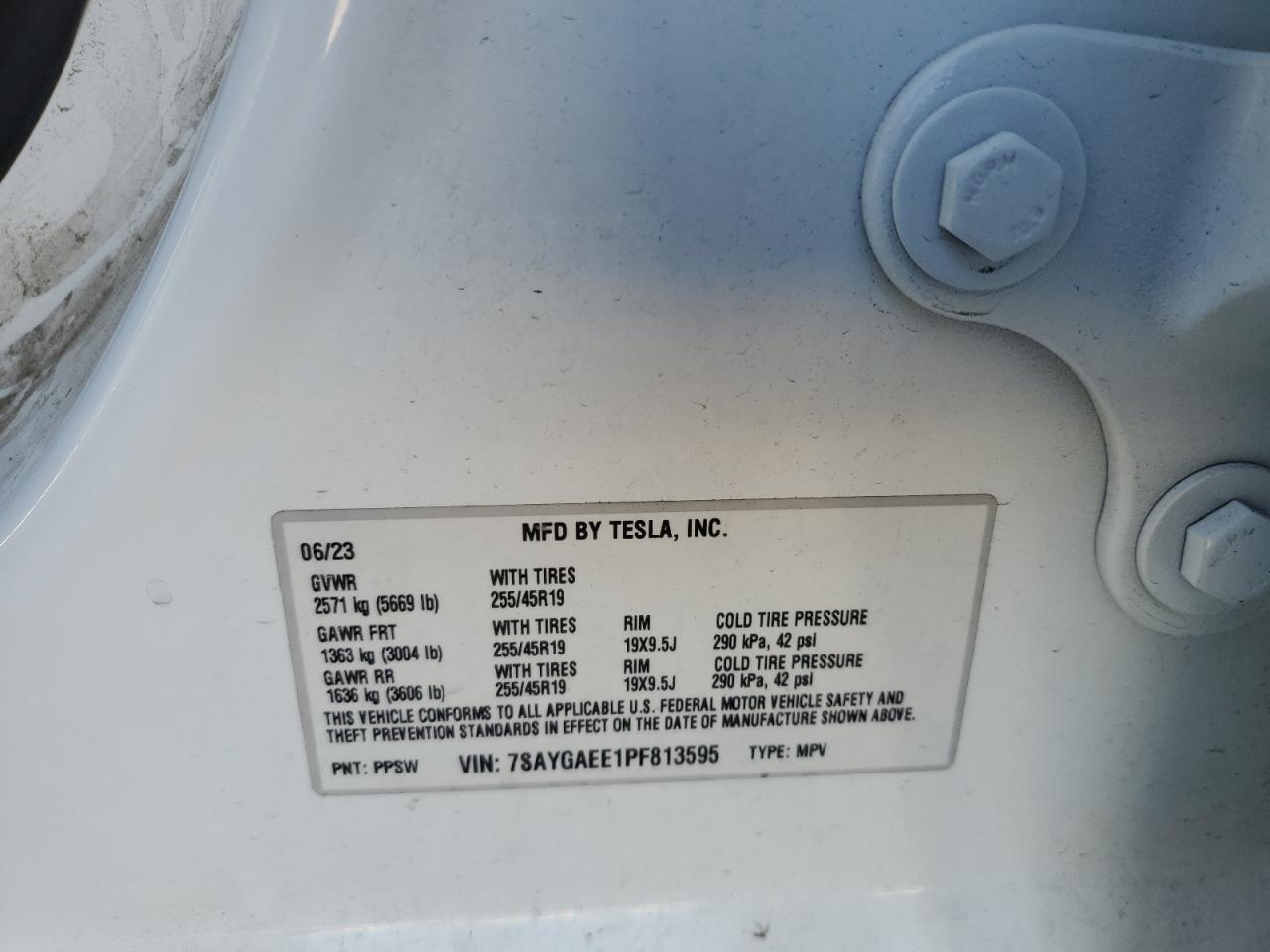 2023 TESLA MODEL Y