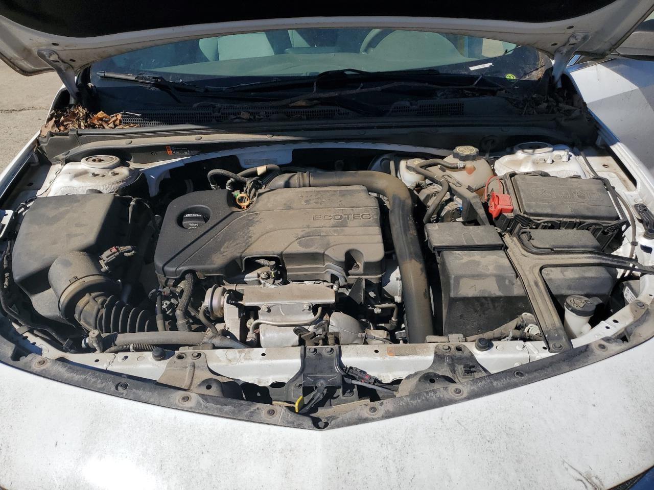2019 CHEVROLET MALIBU