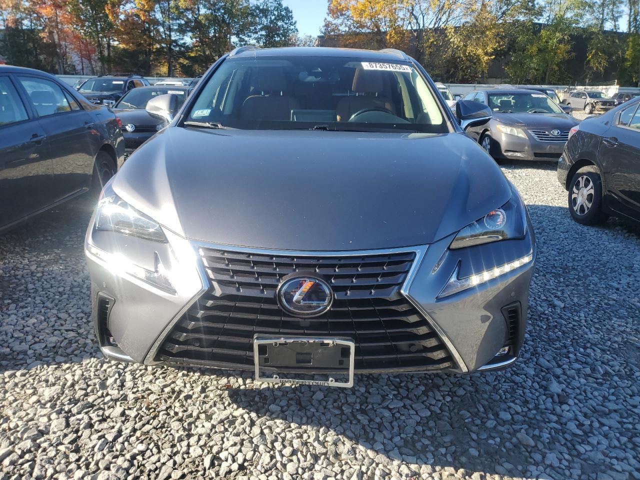 2020 LEXUS Nx