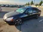 2003 HONDA ACCORD