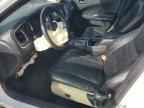 2013 DODGE CHARGER