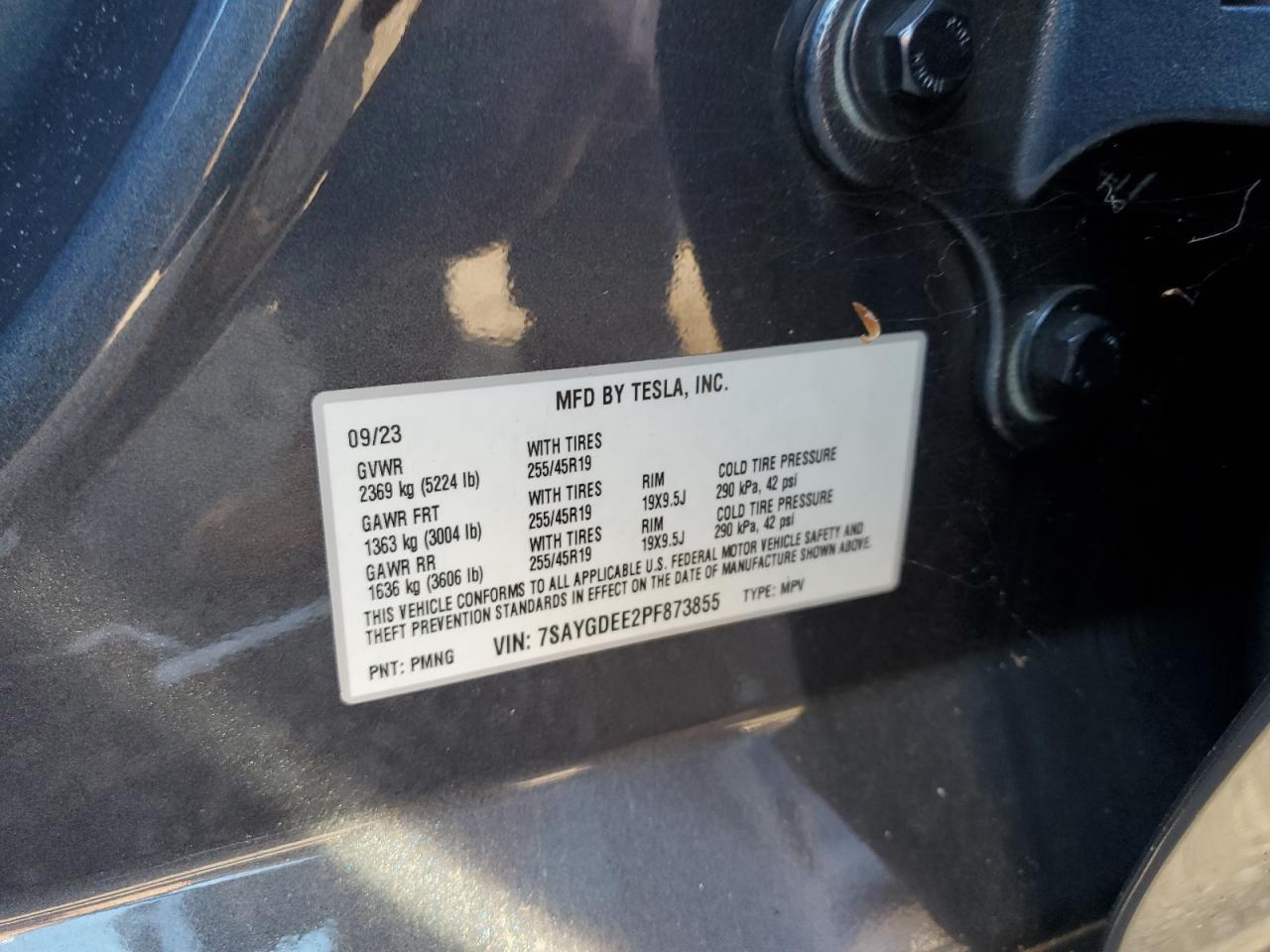 2023 TESLA MODEL Y