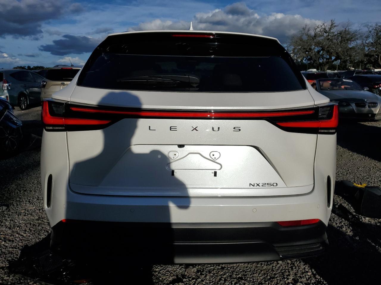 2025 LEXUS Nx