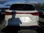 2025 LEXUS Nx