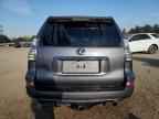 2022 LEXUS GX 460