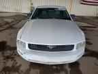 2005 FORD MUSTANG