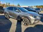 2021 LEXUS Nx