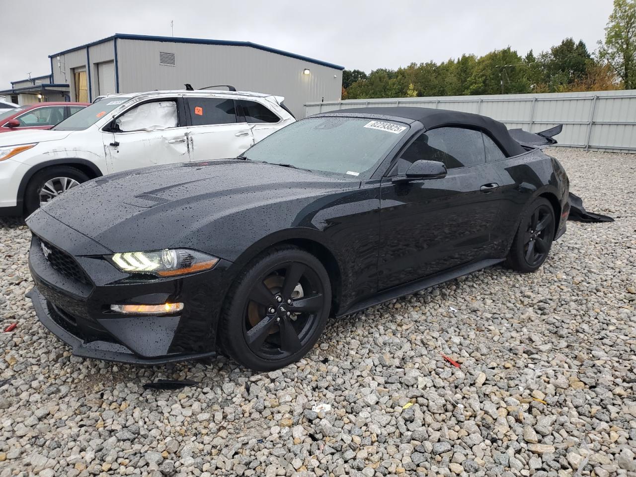 2019 FORD MUSTANG