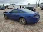 2013 FORD MUSTANG