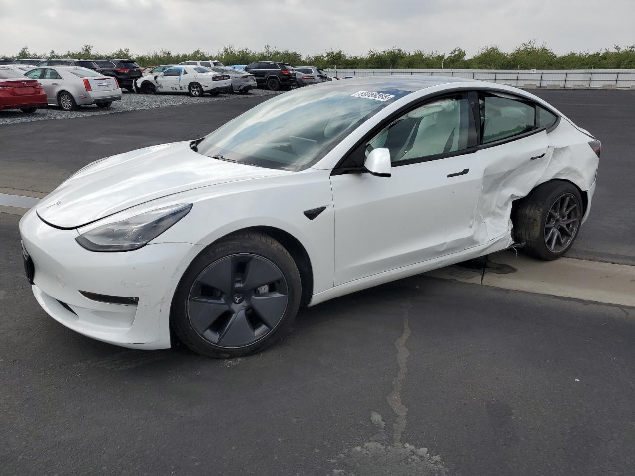 2021 TESLA MODEL 3