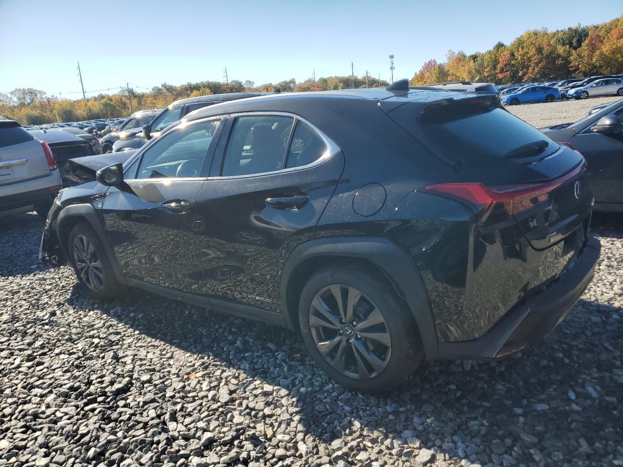 2019 LEXUS UX 250H