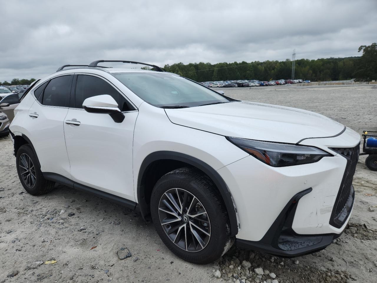2025 LEXUS Nx