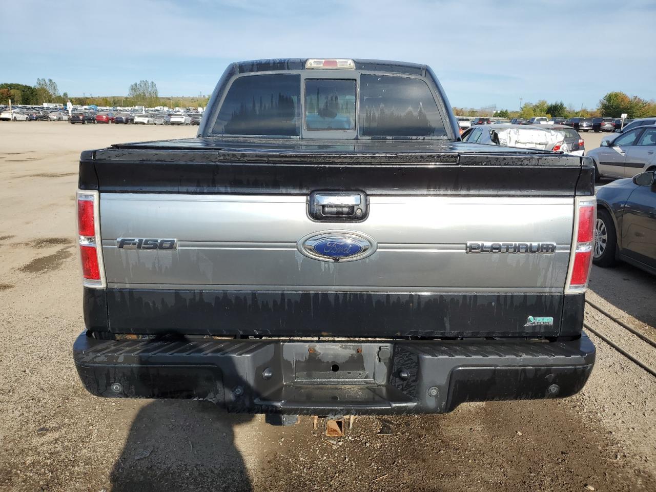 2010 FORD F-150