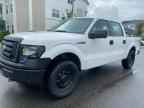 2009 FORD F-150