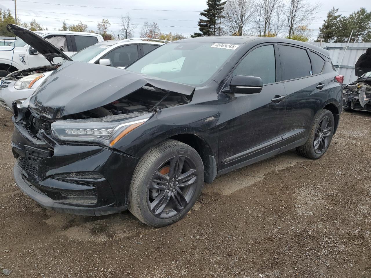 2019 ACURA RDX