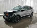 2024 KIA Niro