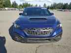 2024 SUBARU WRX