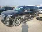 2019 CADILLAC ESCALADE