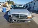 2004 DODGE Dakota