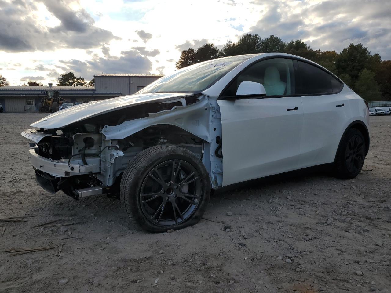 2025 TESLA MODEL Y