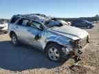 2010 FORD ESCAPE