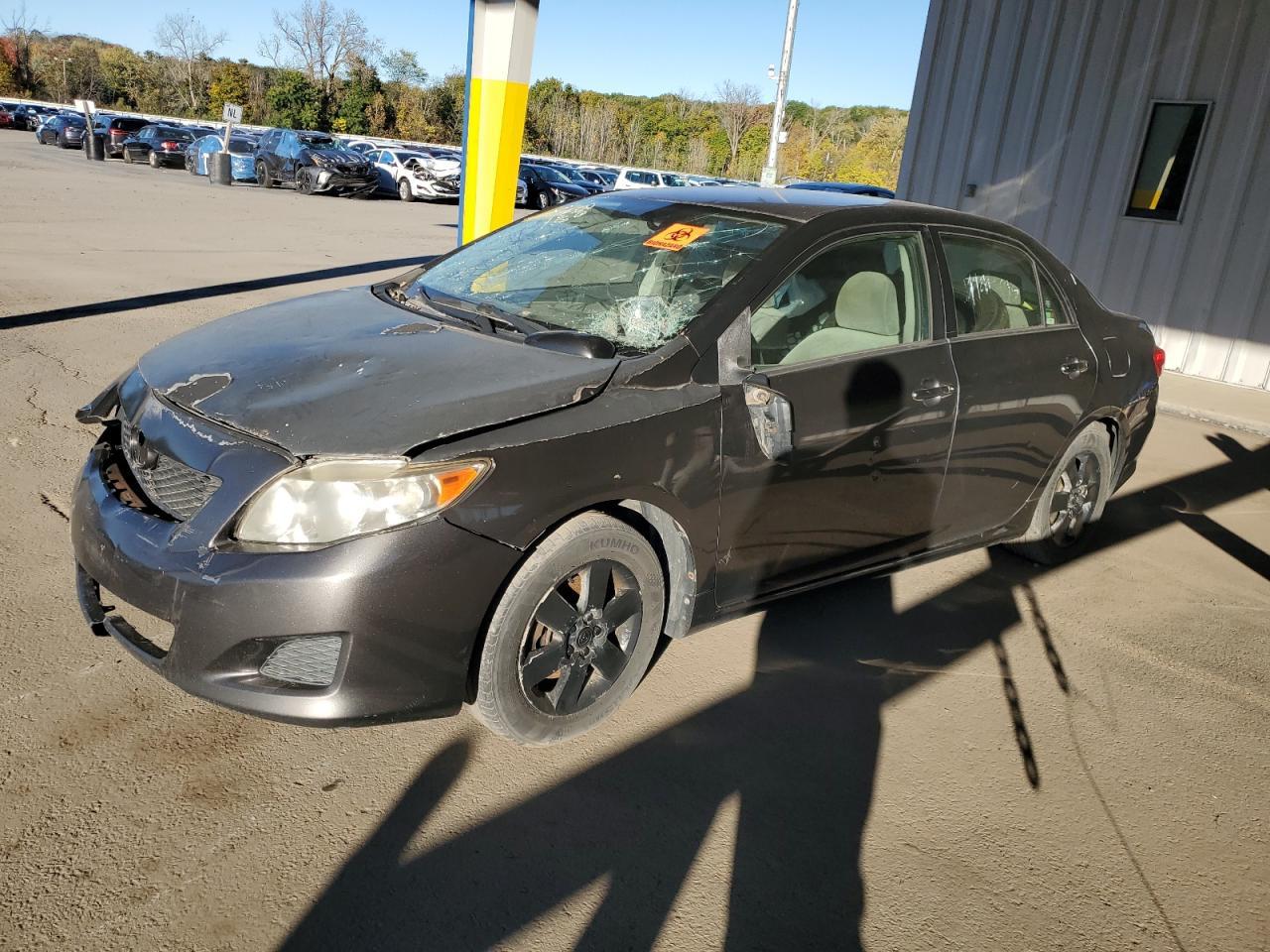 2009 TOYOTA COROLLA