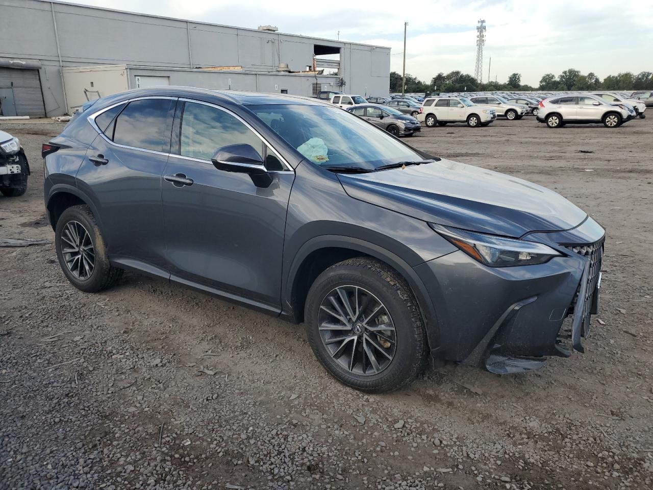2024 LEXUS Nx