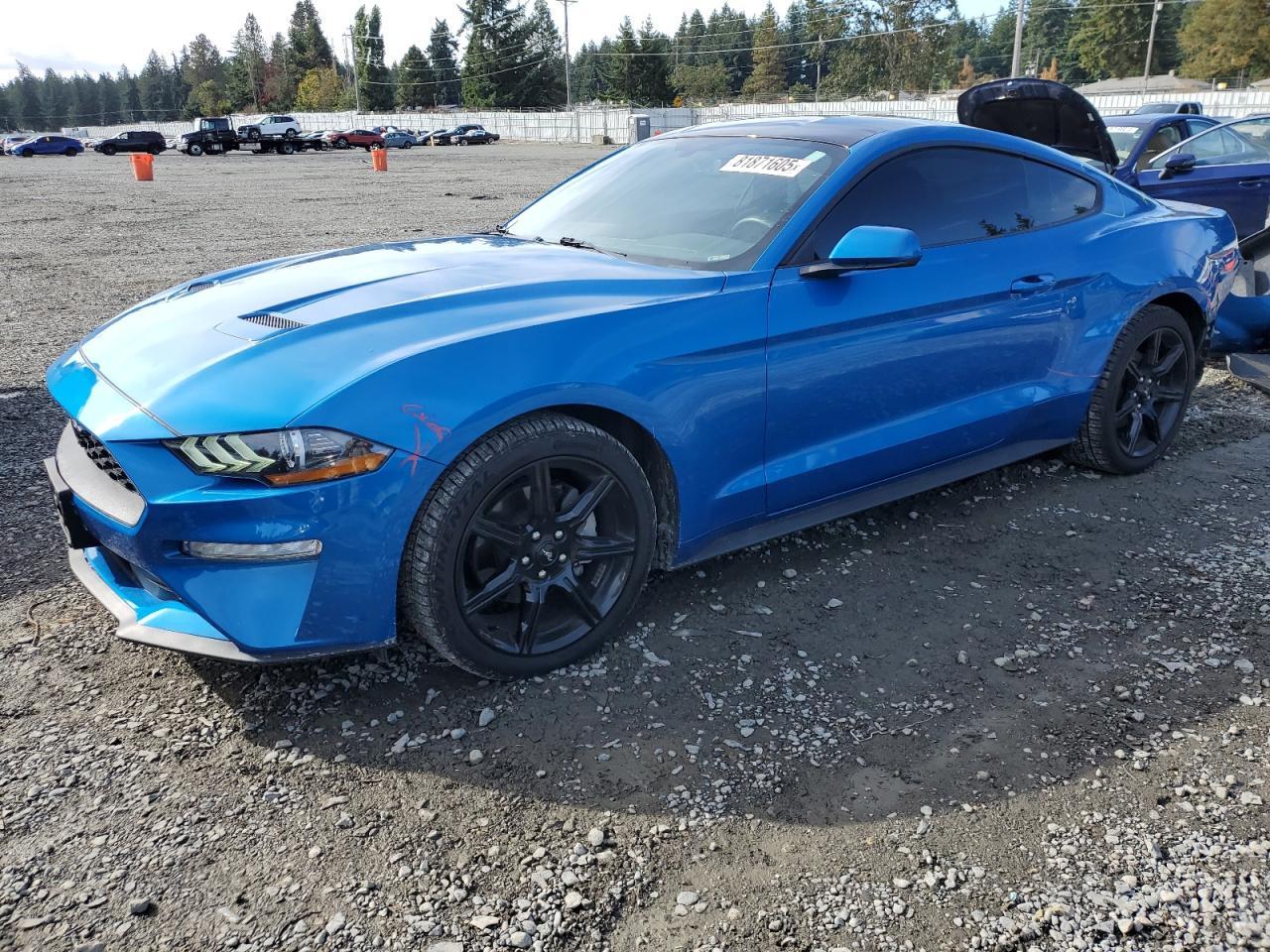 2019 FORD MUSTANG