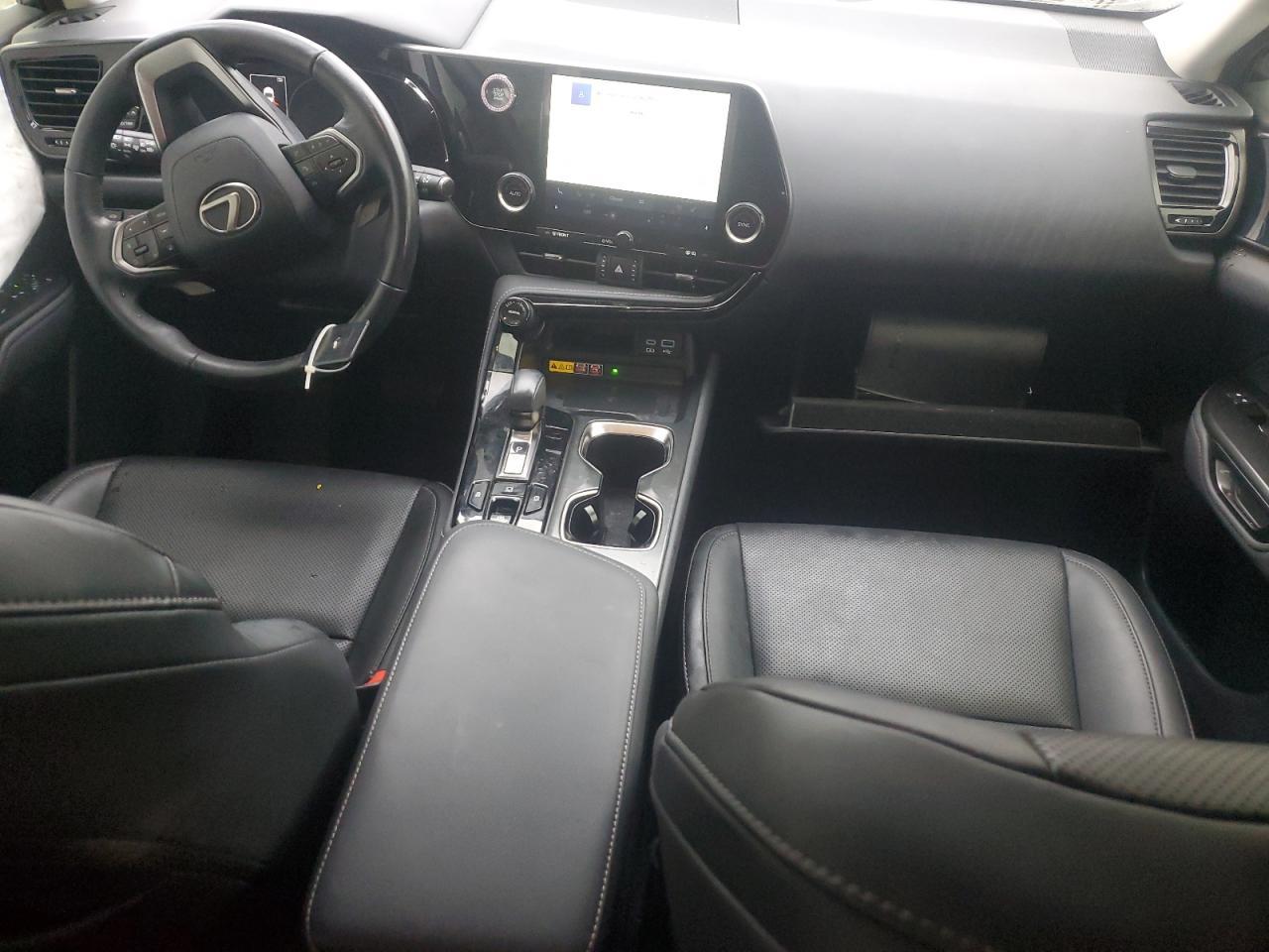 2024 LEXUS NX 250