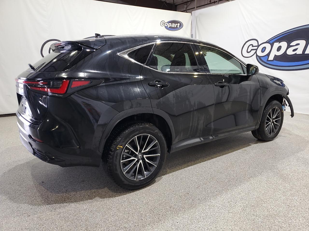 2024 LEXUS NX 350