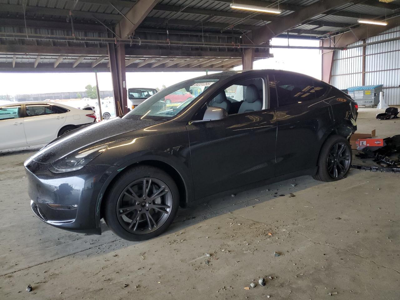 2025 TESLA MODEL Y