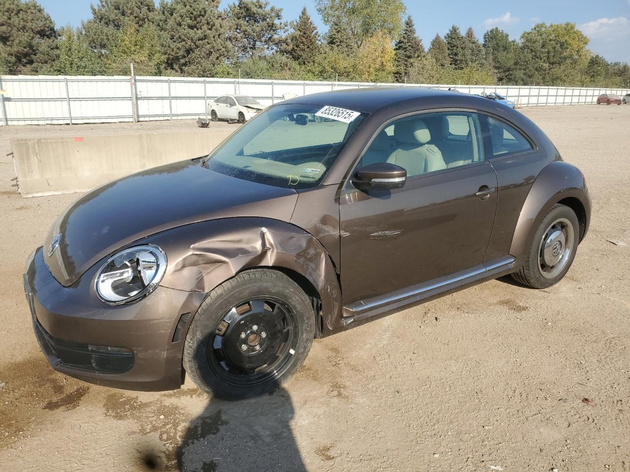 2012 VOLKSWAGEN Beetle