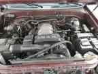 2004 TOYOTA Sequoia