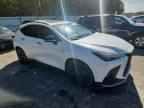 2024 LEXUS Nx