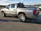 2005 DODGE Dakota